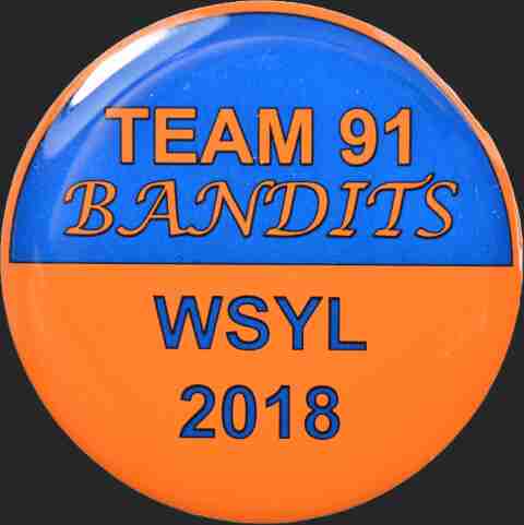 Custom Team 91 Bandits Lacrosse offset print Trading Pin